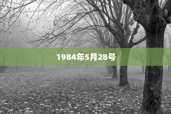1984年5月28号