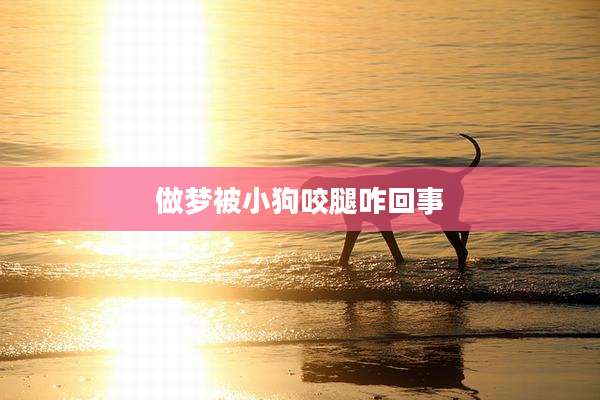 做梦被小狗咬腿咋回事