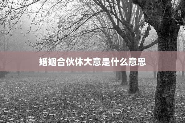 婚姻合伙休大意是什么意思