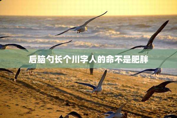 后脑勺长个川字人的命不是肥胖