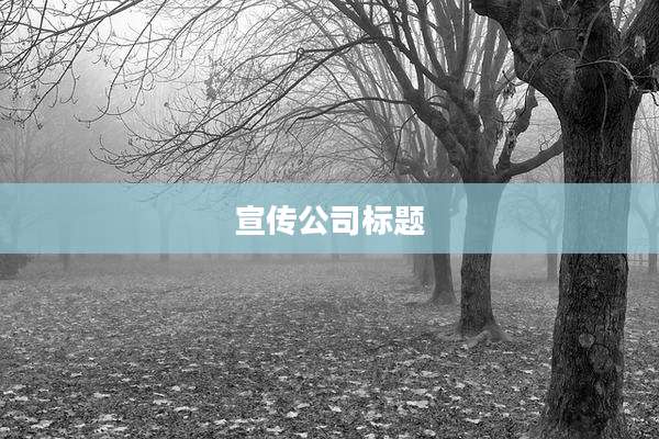 宣传公司标题