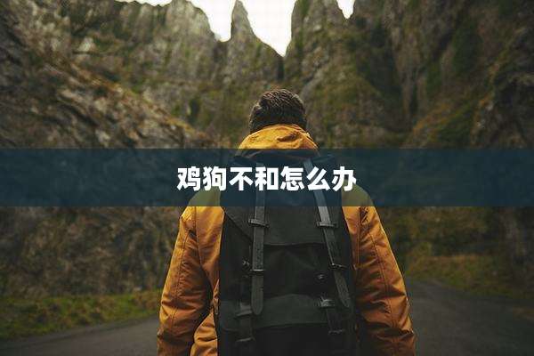 鸡狗不和怎么办