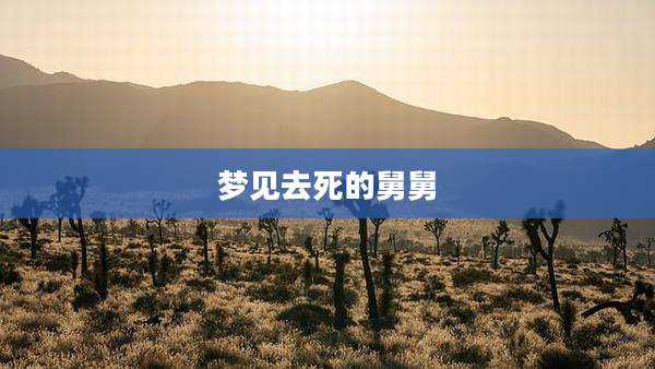梦见去死的舅舅