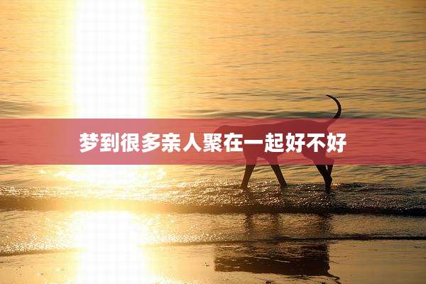 梦到很多亲人聚在一起好不好
