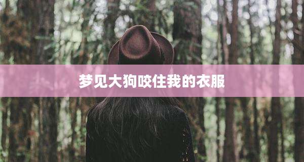 梦见大狗咬住我的衣服