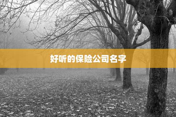 好听的保险公司名字