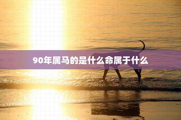 90年属马的是什么命属于什么