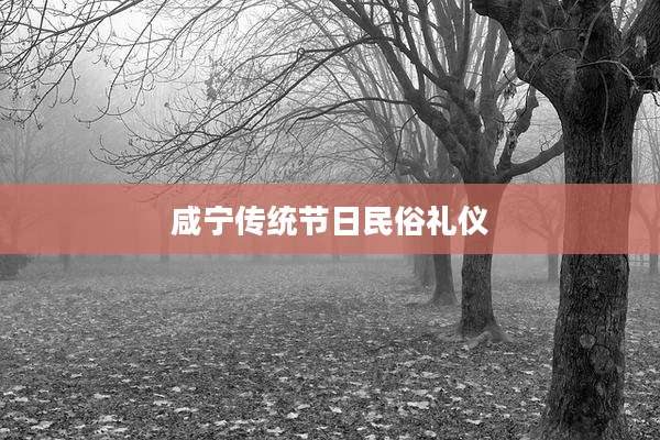 咸宁传统节日民俗礼仪