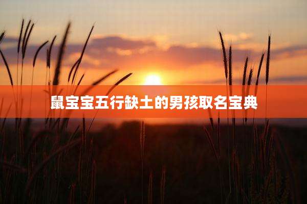 鼠宝宝五行缺土的男孩取名宝典