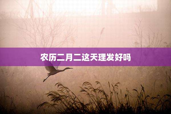 农历二月二这天理发好吗