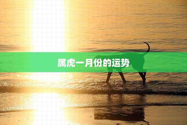 属虎一月份的运势