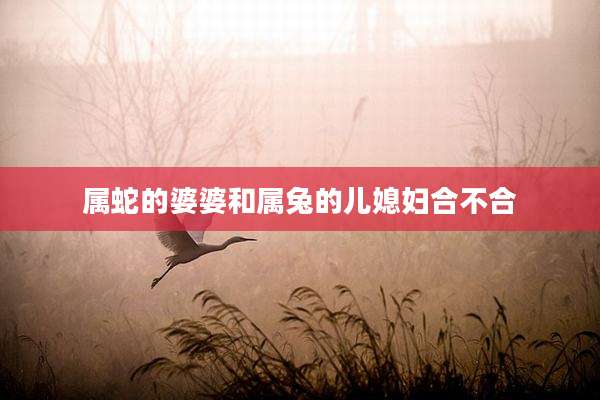 属蛇的婆婆和属兔的儿媳妇合不合