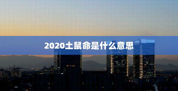 2020土鼠命是什么意思