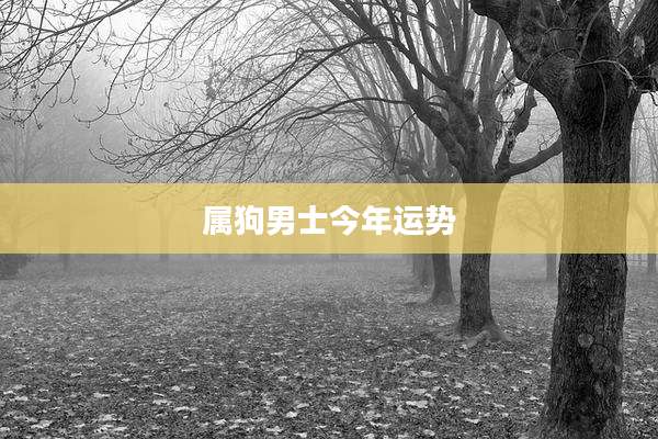 属狗男士今年运势