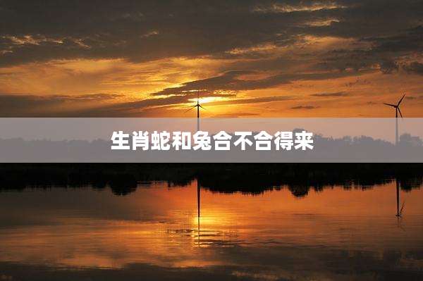 生肖蛇和兔合不合得来