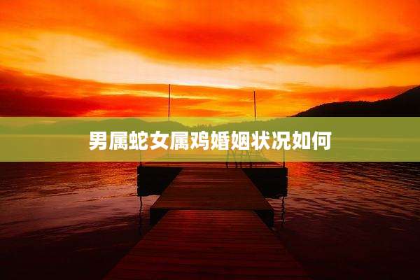 男属蛇女属鸡婚姻状况如何