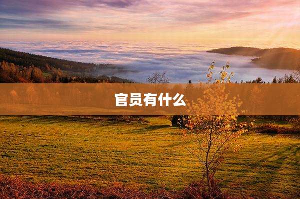 官员有什么