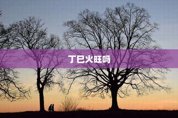 丁巳火旺吗