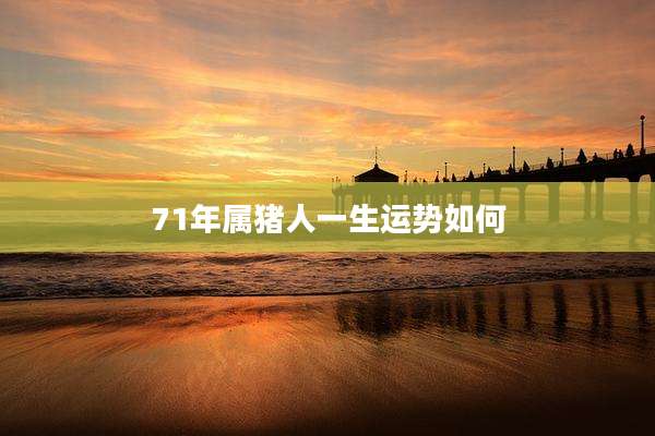 71年属猪人一生运势如何