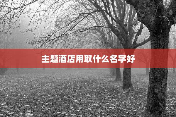 主题酒店用取什么名字好