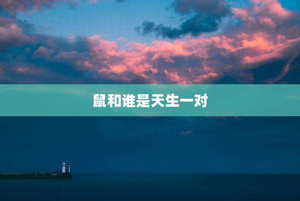 鼠和谁是天生一对