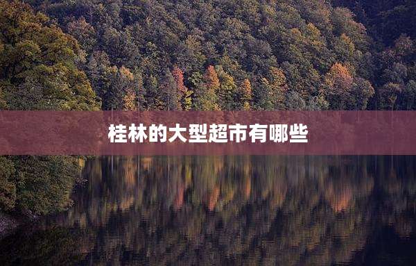 桂林的大型超市有哪些