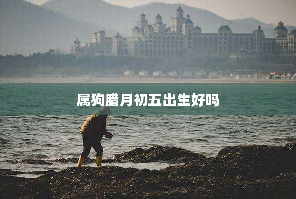 属狗腊月初五出生好吗