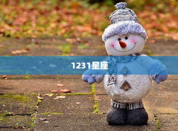 1231星座