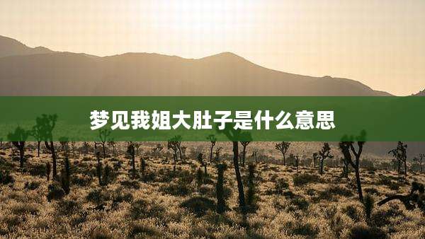 梦见我姐大肚子是什么意思