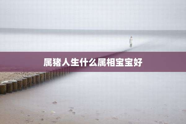 属猪人生什么属相宝宝好