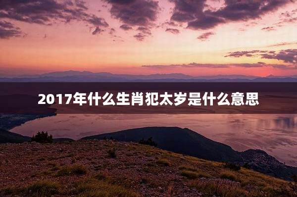 2017年什么生肖犯太岁是什么意思