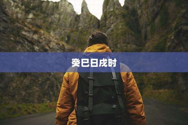 癸巳日戌时