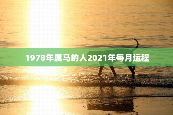 1978年属马的人2021年每月运程