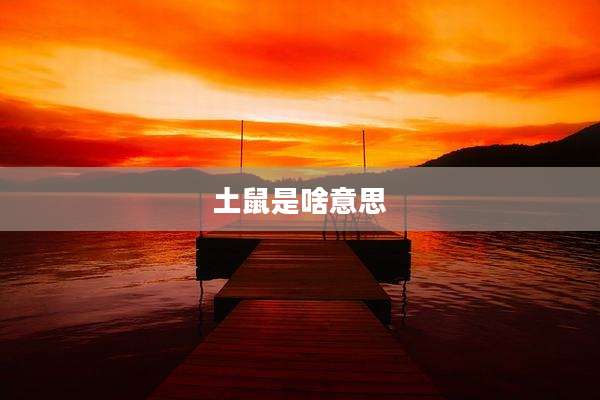 土鼠是啥意思