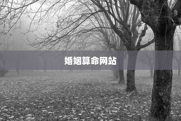 婚姻算命网站