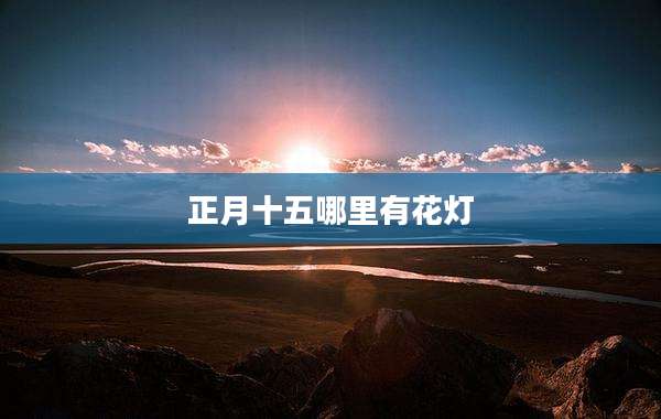 正月十五哪里有花灯