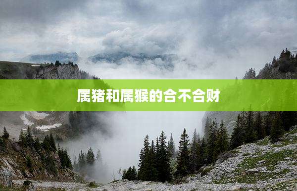 属猪和属猴的合不合财
