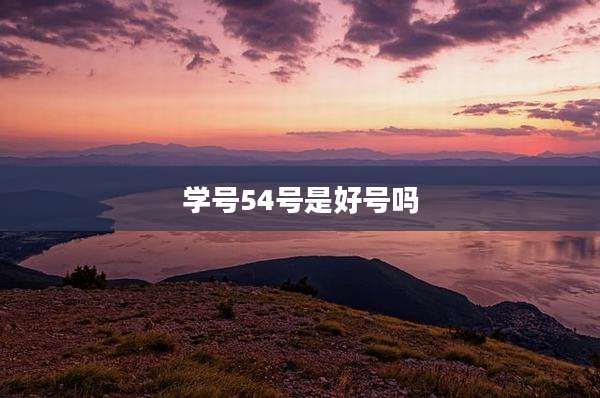 学号54号是好号吗