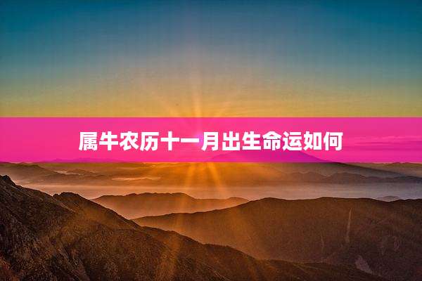 属牛农历十一月出生命运如何