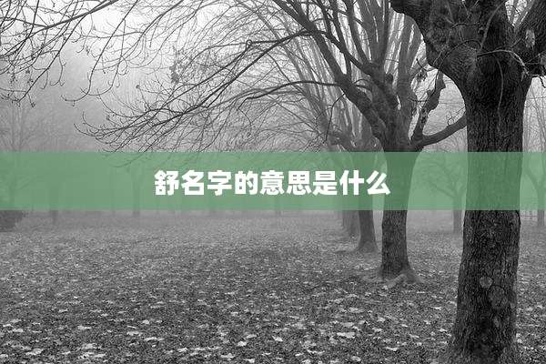 舒名字的意思是什么