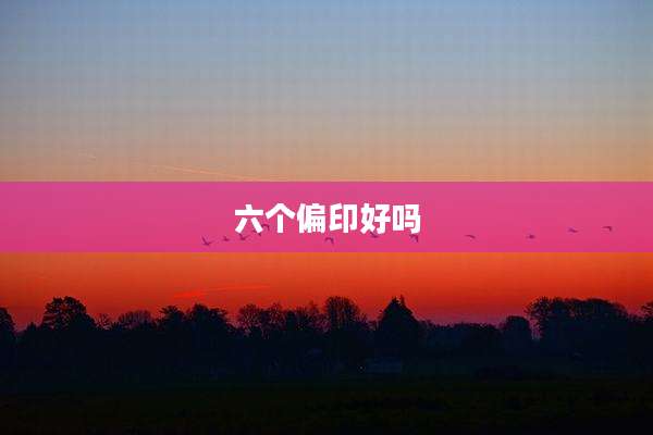 六个偏印好吗