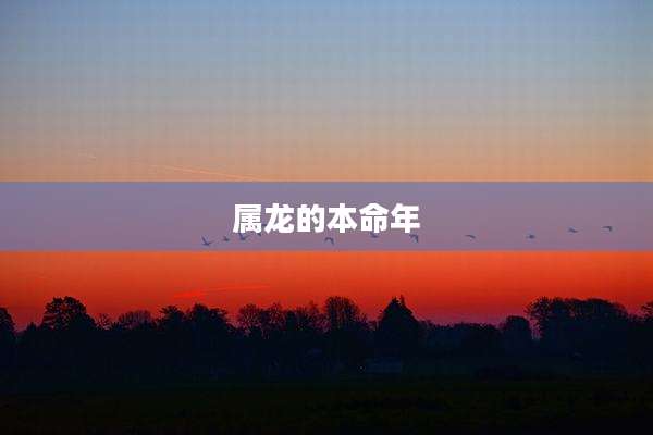 属龙的本命年