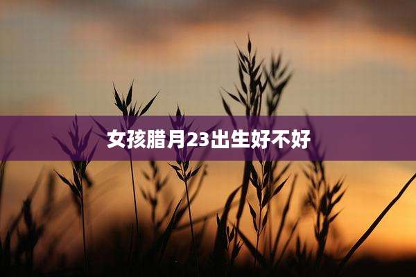 女孩腊月23出生好不好