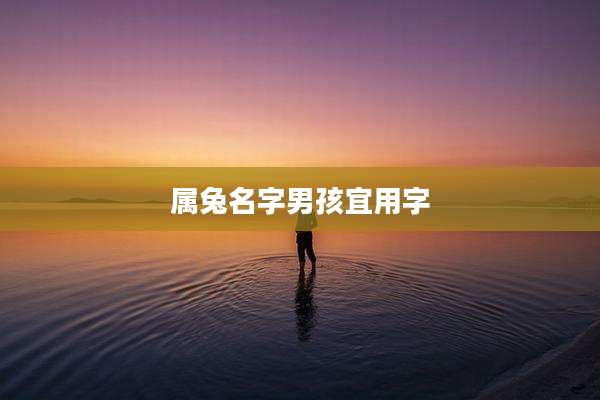 属兔名字男孩宜用字