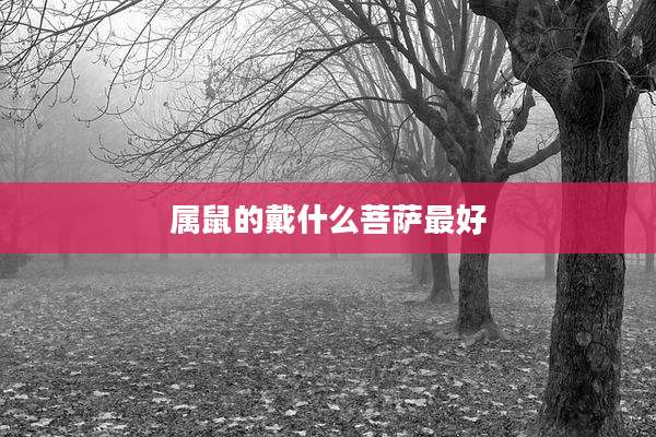 属鼠的戴什么菩萨最好