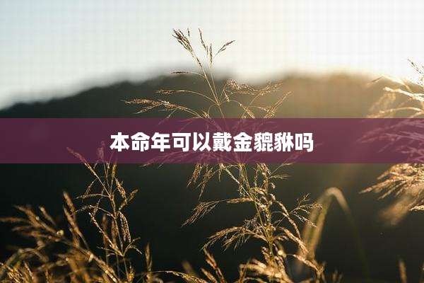 本命年可以戴金貔貅吗