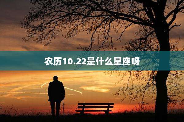 农历10.22是什么星座呀