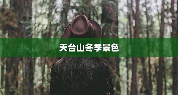 天台山冬季景色