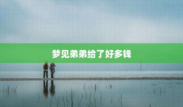 梦见弟弟给了好多钱