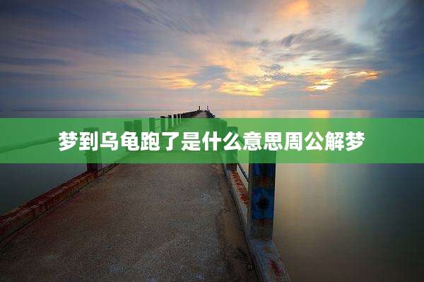 梦到乌龟跑了是什么意思周公解梦